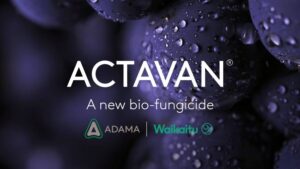 ADAMA Receives Registration for ACTAVAN Biofungicide in Peru