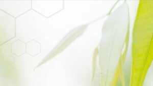 Bio-Gene Forms Agreement with STK to Develop Qcide Botanical-Based Technology