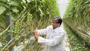 Bionema Launches New Range of Biofertilizers in the UK