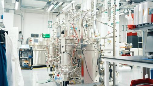 Exacta Bioscience, Ginkgo Bioworks Form Partnership to Optimize Exacta’s Crop Protection Product