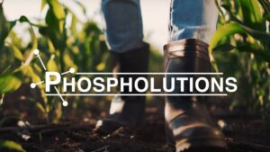 Phospholutions Raises $10.15M to Reduce Phosphorus Carbon Emission by 50%