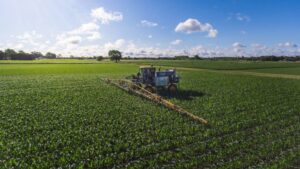 Aqui está o que impulsiona o crescimento no mercado de micronutrientes dos EUA