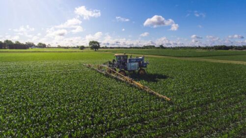 Here’s What Driving Growth in the U.S. Micronutrients Market
