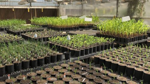 BioConsortia Appoints Matthew Mouw as Vice President of Business Development