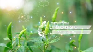 ICL and Agrematch to Develop Novel Biostimulants via AI