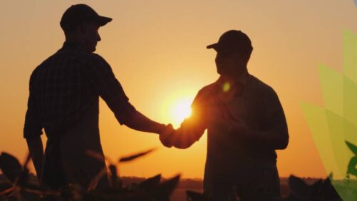 Facing the Struggle Together: Supporting Farmers Affected by War