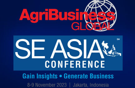 Exploring Southeast Asia Future: A Glimpse into the 2023 Conference
