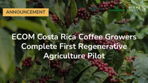 Produtores de café da ECOM Costa Rica concluem primeiro piloto de agricultura regenerativa