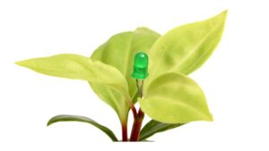 Bionema Launches Novel Biostimulant in the UK