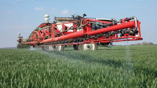 EU: New Wheat Fungicide From Bayer Provides Three-Pronged Attack