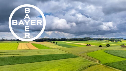 Bayer Makes Key Leadership Changes to Its Crop Science Division