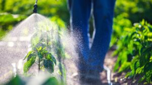 Can Biological Products Fill the Herbicide Gap?