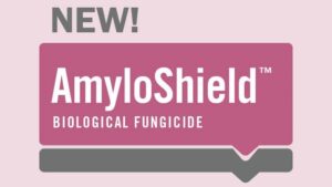 Mycorrhizal Applications Introduces AmyloShield Biofungicide
