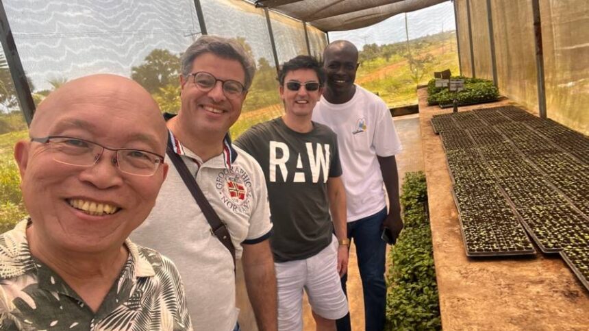 A Ghana Success Story: How Africa Is Emerging As a Sustainable Food ...