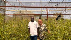 A Ghana Success Story: How Africa Is Emerging As a Sustainable Food Basket for the EU