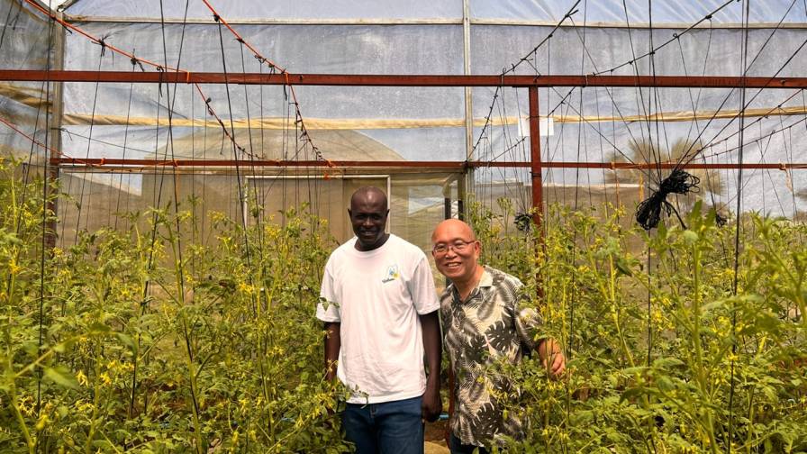 CS Liew and Felix Kamassah in one of his many greenhouses. Photo credit: CS Liew