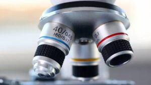 Nanotechnology in Crop Protection: Making Sense of Advancements in Formulation Technology