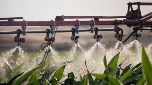 Yara Launches New Biostimulants Brand