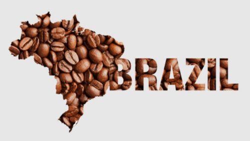 Sipcam Nichino Launches Thifluzamide Fungicide in Brazil