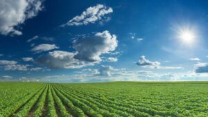 U.S.: BASF Showcases Commitment to Innovation in Agriculture in 2023