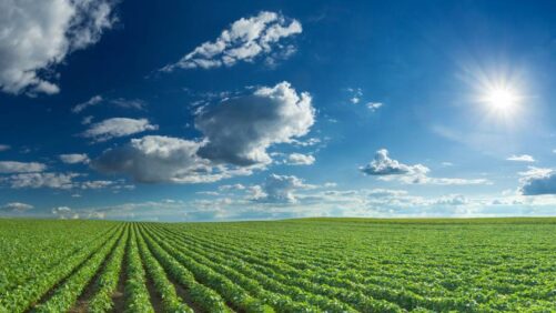 U.S.: BASF Showcases Commitment to Innovation in Agriculture in 2023