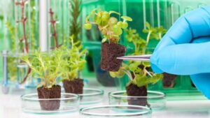 Bionema Group Launches Tender for Product Marketing of Innovative Biocontrol Solutions