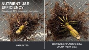 Nutrient Use Efficiency: HELM Unveils Innovative Additions to Plant Advantage Portfolio