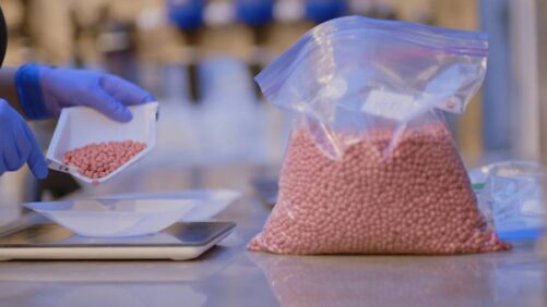 Lucent Bio presenta un recubrimiento biodegradable para semillas