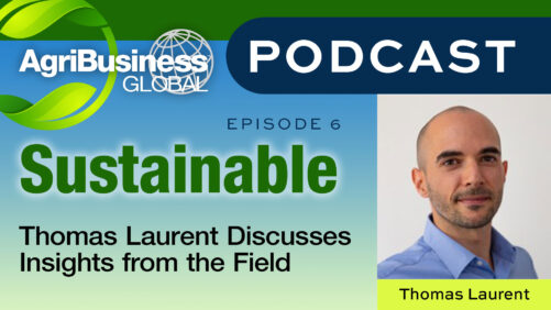 Podcast sostenible: El director ejecutivo de Micropep, Thomas Laurent, analiza las perspectivas del campo