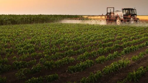 Crop Protection Market Trends: North America and Europe Outlook for 2025 and Beyond
