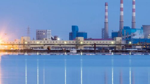 China’s Pesticide Industry Update for 2024