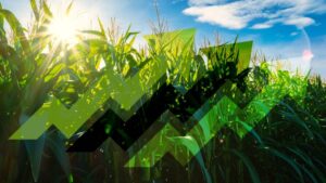 China’s Distinctive Biorationals Movement