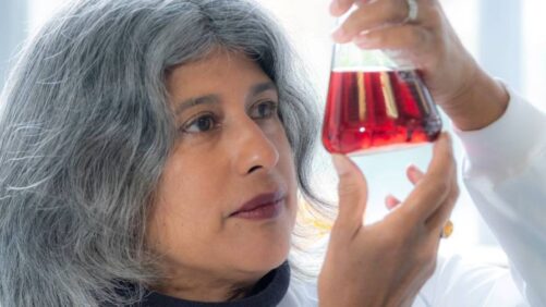 Green Bioinsecticides from SOLASTA Bio Move Closer to Market With Successful Field Trials