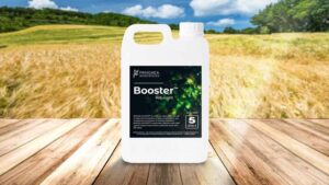 How Panagaea Biosciences Is Tackling Red Spider Mite Resistance with Novel Primer Formulation