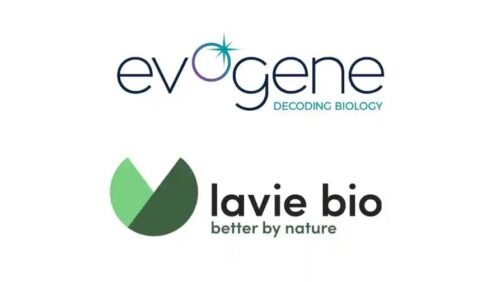 El gigante de minerales ICL adquirirá Lavie Bio, empresa de tecnología agrícola impulsada por IA