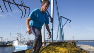 Acadian Plant Health and Koppert USA Partner to Boost Biostimulant Access Across Key U.S. States