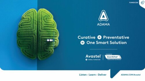 ADAMA lança novo fungicida para cereais para controle de doenças em toda a Europa