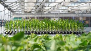 Ginkgo Bioworks Acquires AgBiome’s Platform Assets