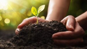MagrowTec, Certis Belchim Form Strategic Partnership to Enhance Plant Protection Product Performance