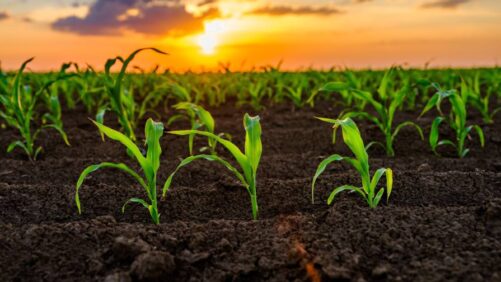 TeeJet and Inflexion Point Technologies Unite to Bring Prescriptive Seed Treatment to Farmers Worldwide