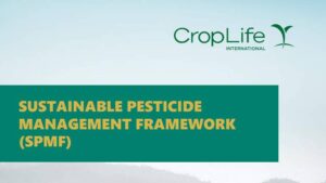 CropLife International’s SPMF Program Reports Substantial Progress in Key Countries