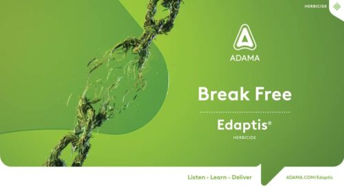 ADAMA Introduces New Cereal Herbicide in Poland