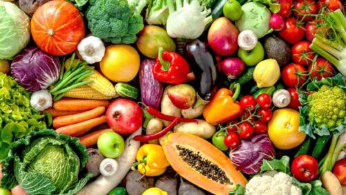 Bayer avanza en iniciativas de edición del genoma para vegetales mejorados en nutrición