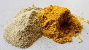 Brevel Launches Commercial Plant for Microalgae Protein Supply