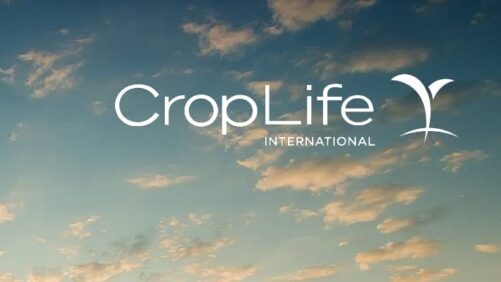 WTO MC14: CropLife International Urges Rules-Based Trade to Strengthen Food Security and Innovation
