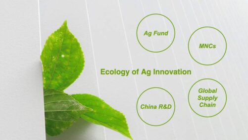China Price Index: Establishing an ‘Ecology of Ag Innovation’ Is Key to China’s Supply Chain Success