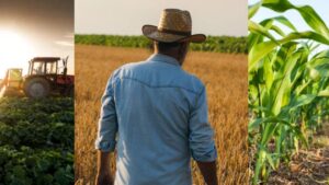 Exploring New Opportunities in Global Agribusiness