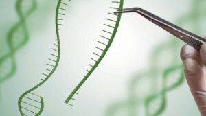 Syngenta Opens Rights to Genome-Editing and Breeding Technologies to Boost Agricultural Innovation