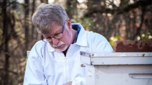 Terra Vera Technical Advisor Shares Insight on Crop Protection and Honeybee Health