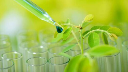 Pangaea Biosciences Forms Distributor Agreement with Shining Fine Chemicals for Chinese Market